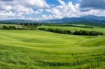 Farmland In Val D'orcia Tuscany Stock Photo