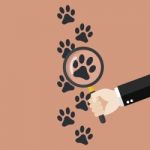 Hand Holding Magnifying Glass Over Paw Print Stock Photo
