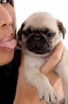 Young Female Licking Puppy Stock Photo