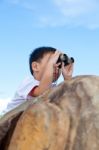 Happy Little Boy Exploring Outdoors Clambering On A Rock With Te Stock Photo
