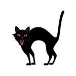 Halloween Growl Black Cat Stock Photo