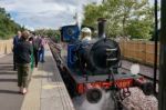 East Grinstead, West Sussex/uk - September 8 : Bluebell Steam En Stock Photo