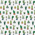 Hand Drawn Tropical Cactus Pattern Background Stock Photo
