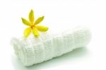 Ylang-ylang Flower Stock Photo