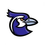 Black-throated Magpie-jay Mascot Stock Photo