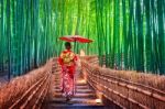 Bamboo Forest. Asian Woman Wearing Japanese Traditional Kimono At Bamboo Forest In Kyoto, Japan Stock Photo