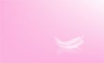 Abstract Pink Have Feather On Background Stock Photo