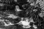 Twin Falls Waterfall Located In Springbrook National Park Stock Photo