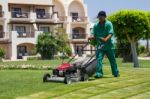 Male Gardener Cutting Grass With Lawn Mower Stock Photo