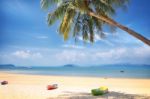 Kayak Boat With Coconut Palm Trees On Tropical Beach Background Stock Photo