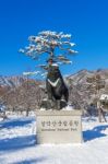 Seoraksan, Korea - February 7: Seoraksan National Park In Winter Location On Gangwon, South Korea On February 7, 2016 Stock Photo