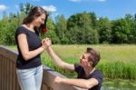 Young Male Friend Offers Red Rose To Attractive Girl On Bridge Stock Photo
