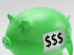 Dollars In Piggy Shows Wealth And Success Stock Photo
