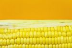 Corn With Copyspace Stock Photo