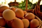 Fresh Eggs Stock Photo
