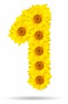 Number 1 Made Of Sunflower Stock Photo