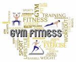 Gym Fitness Shows Working Out And Exercising Stock Photo