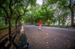 Central Park New York City Stock Photo