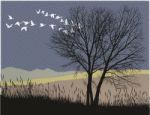 Night Migration Of Wild Geese Stock Photo