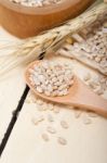 Organic Barley Grains Stock Photo