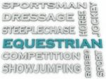 3d Image Equestrian  Issues Concept Word Cloud Background Stock Photo