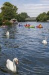 Windsor, Maidenhead & Windsor/uk - July 22 : People Kayaking Dow Stock Photo