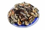 Blue Mussel Bivalve Stock Photo