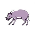 Babirusa Or Deer Pig Drawing Stock Photo