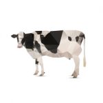 Illustration Of Origami Cow Stock Photo