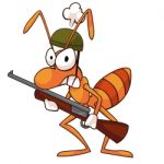 Ant Soldier Holding A Gun Stock Photo