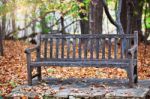 Old Wooden Bench In Park Stock Photo