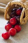 Plums In Bamboo Basket Stock Photo