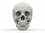 3d Human Skull Isolated On White Background Stock Photo