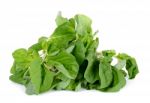 Fresh Spinach Isolated On The White Background Stock Photo