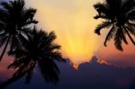 Tropical Beach On Sunset With Silhouette Palm Trees Stock Photo