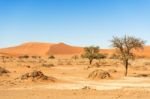 Sand Dune In The Namibian Desert Near Sossusvlei Stock Photo