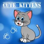 Cute Kittens Represents Domestic Cat And Cats Stock Photo
