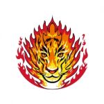 Flaming Tiger Head On Fire Mascot Stock Photo