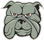 Bulldog Head Isolated Cartoon Stock Photo