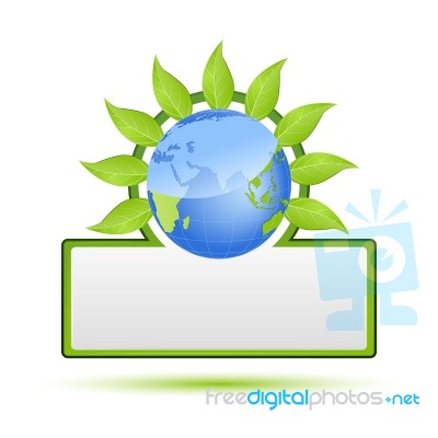 Insurance Insurance