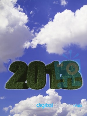 2013 New Year Sign Of Green Grass Against The Sky Stock Image