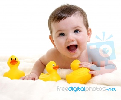 3 Little Duckies Stock Photo