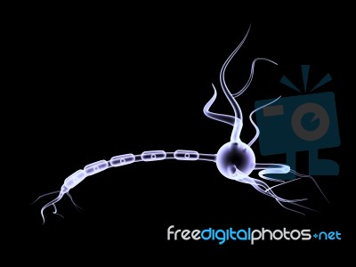 3d Neuron Cell Stock Image