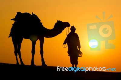 A Desert Local Walks A Camel Through Thar Desert Stock Photo