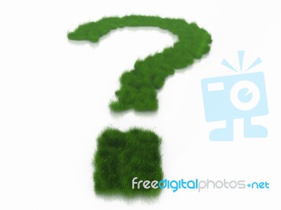 A Question Mark And Grass Stock Image