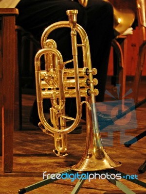 A Trumpet Stock Photo