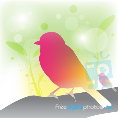 Abstract Bird Background Stock Image