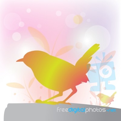 Abstract Bird Background Stock Image