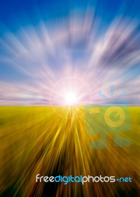 Abstract Motion Blurred Meadow Stock Photo