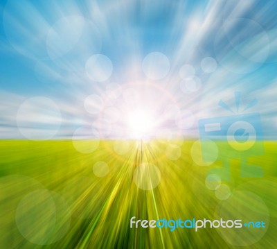 Abstract Motion Blurred Meadow Stock Photo